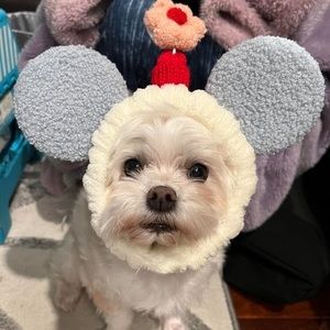 Meet your Posher, Evelyn